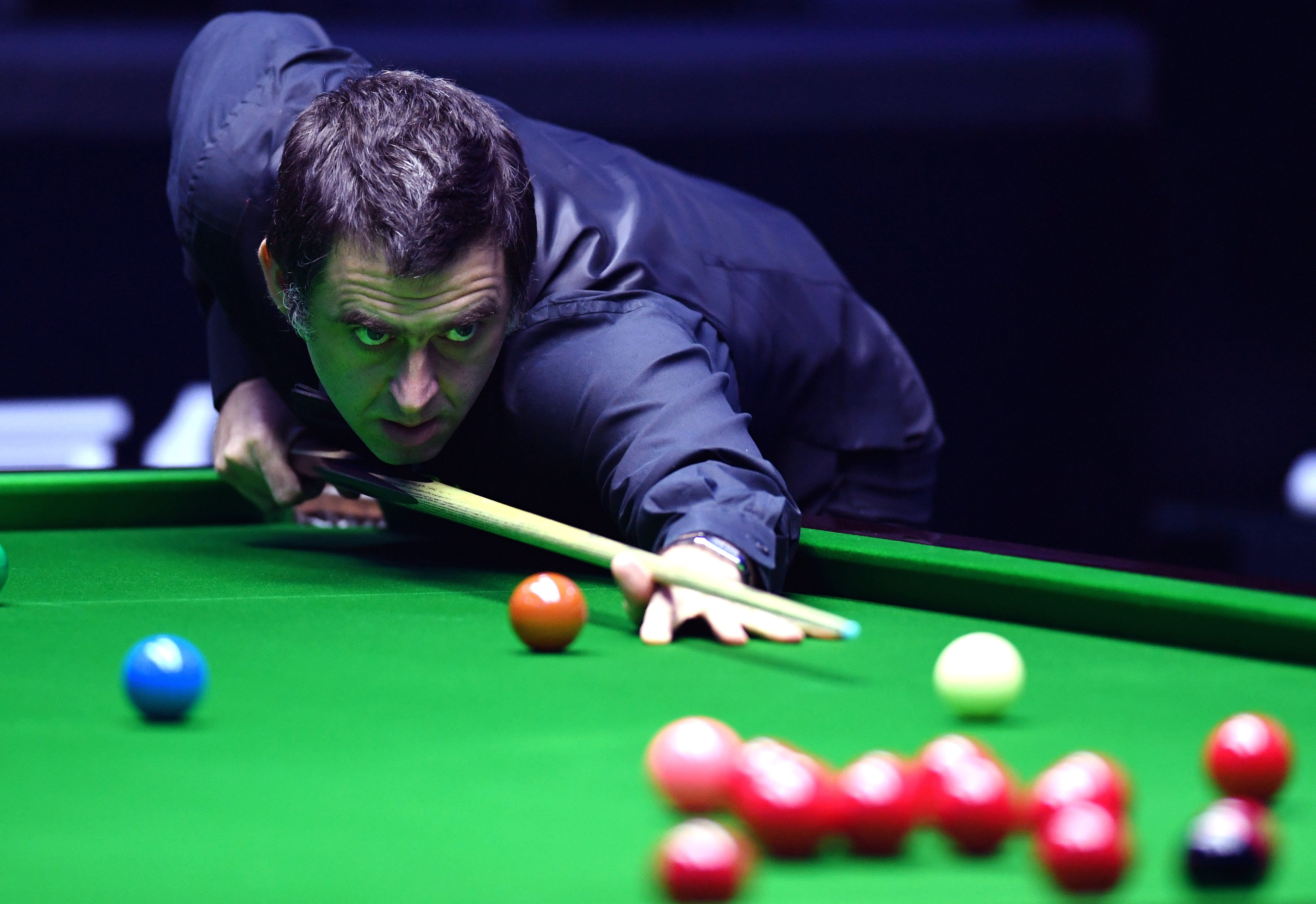 无数粉丝在 无数粉丝在