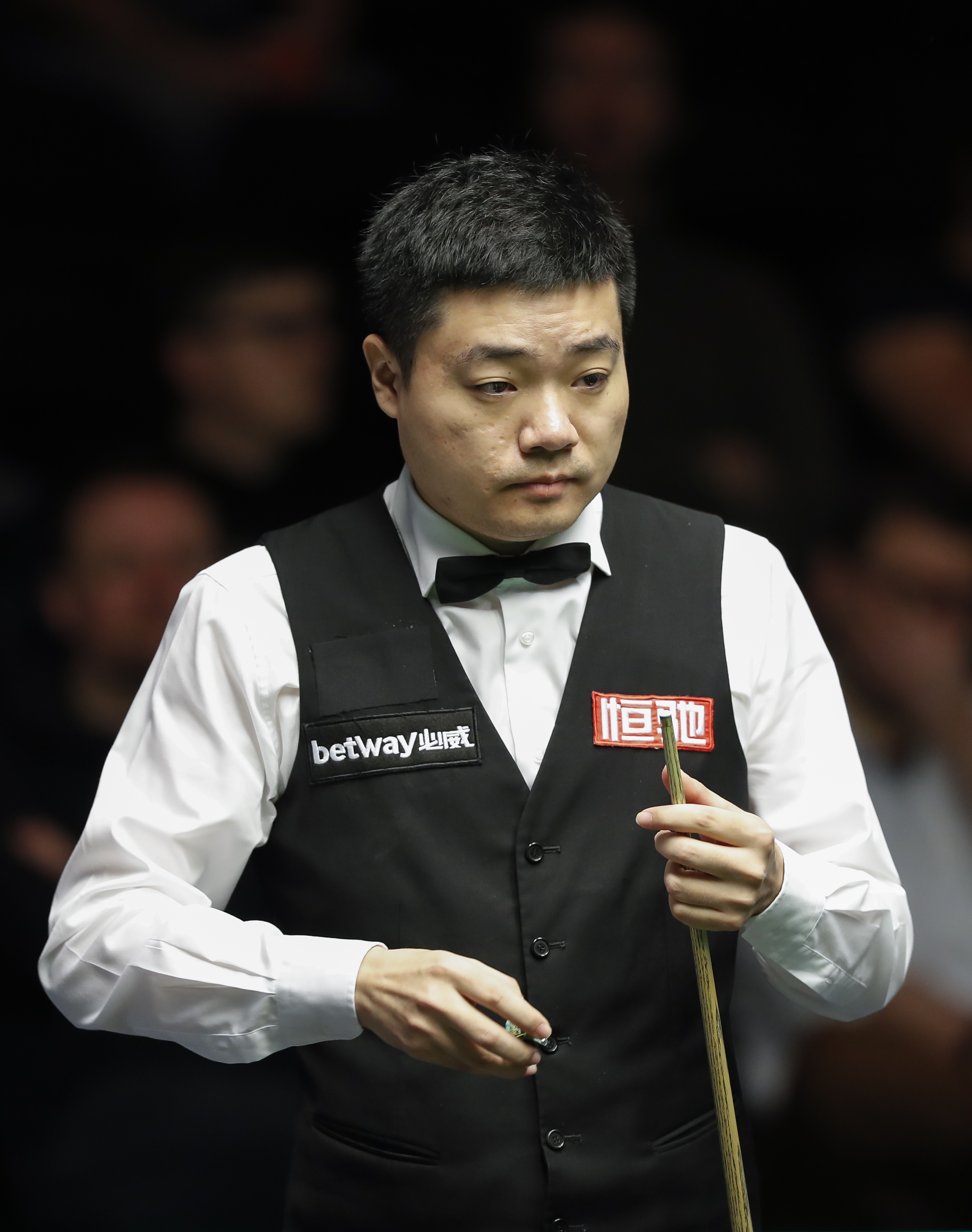 的骄人成绩 的骄人成绩