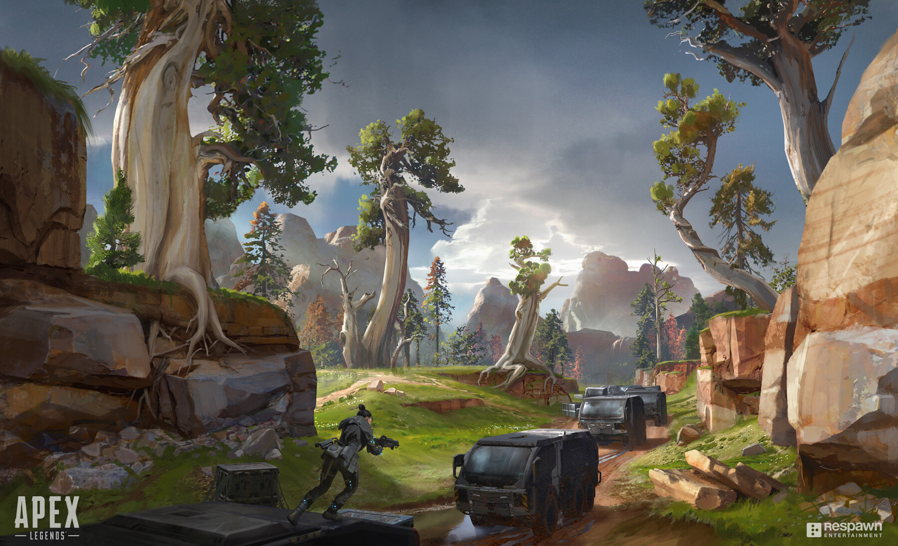 北大态度释 北大态度释