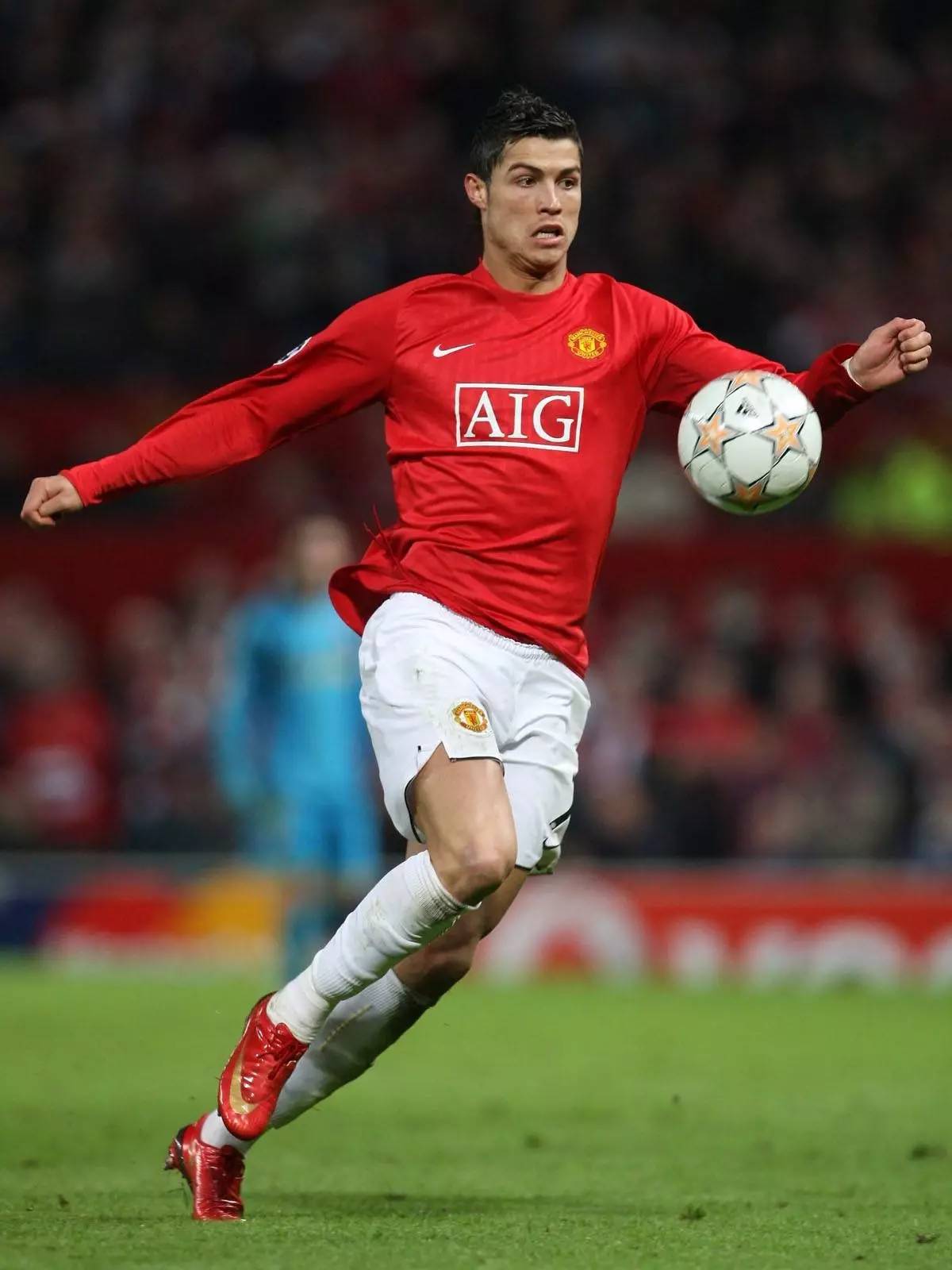 活力的平台 活力的平台